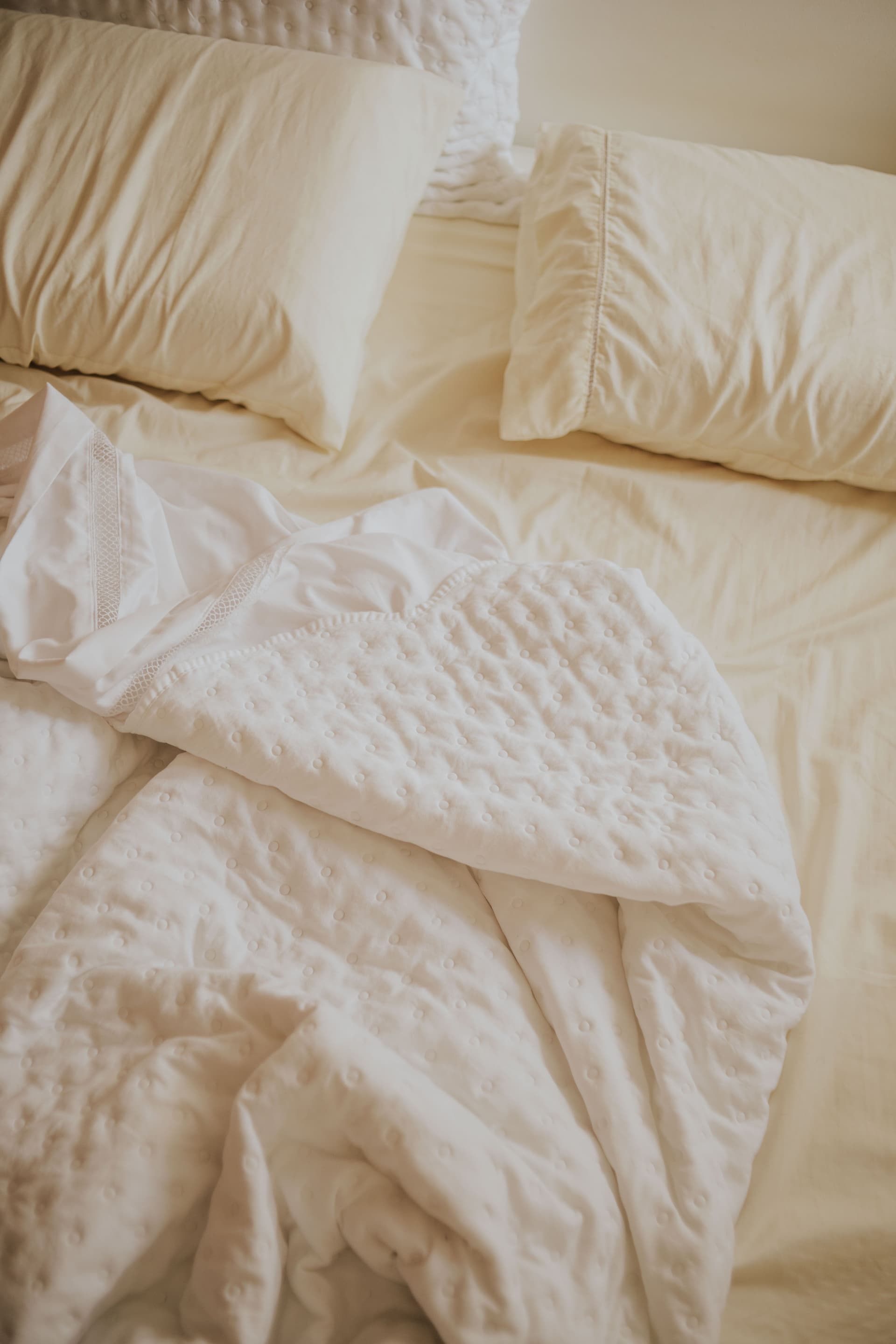 Bed bug pest control